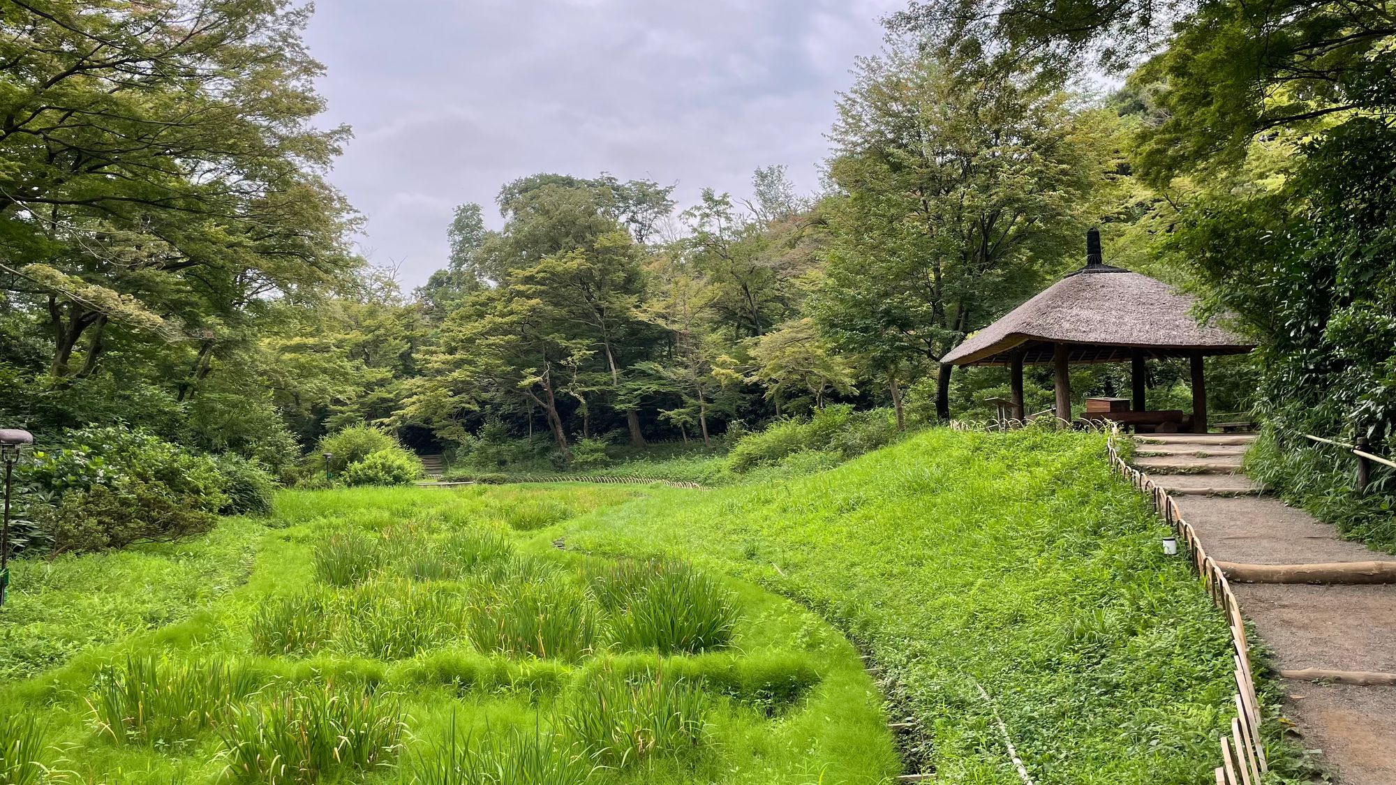 Brad In Japan: Sam In Japan