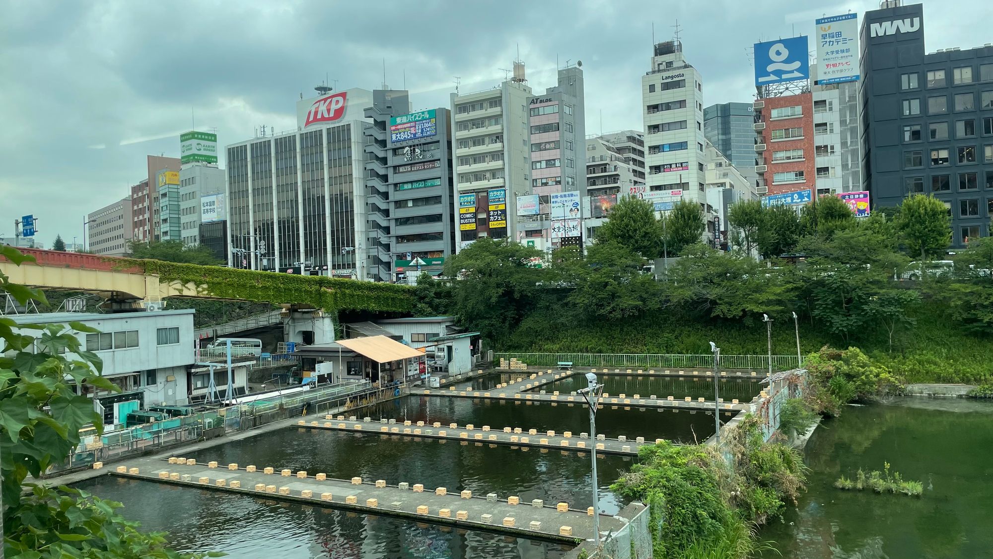 Brad In Japan: Sam In Japan