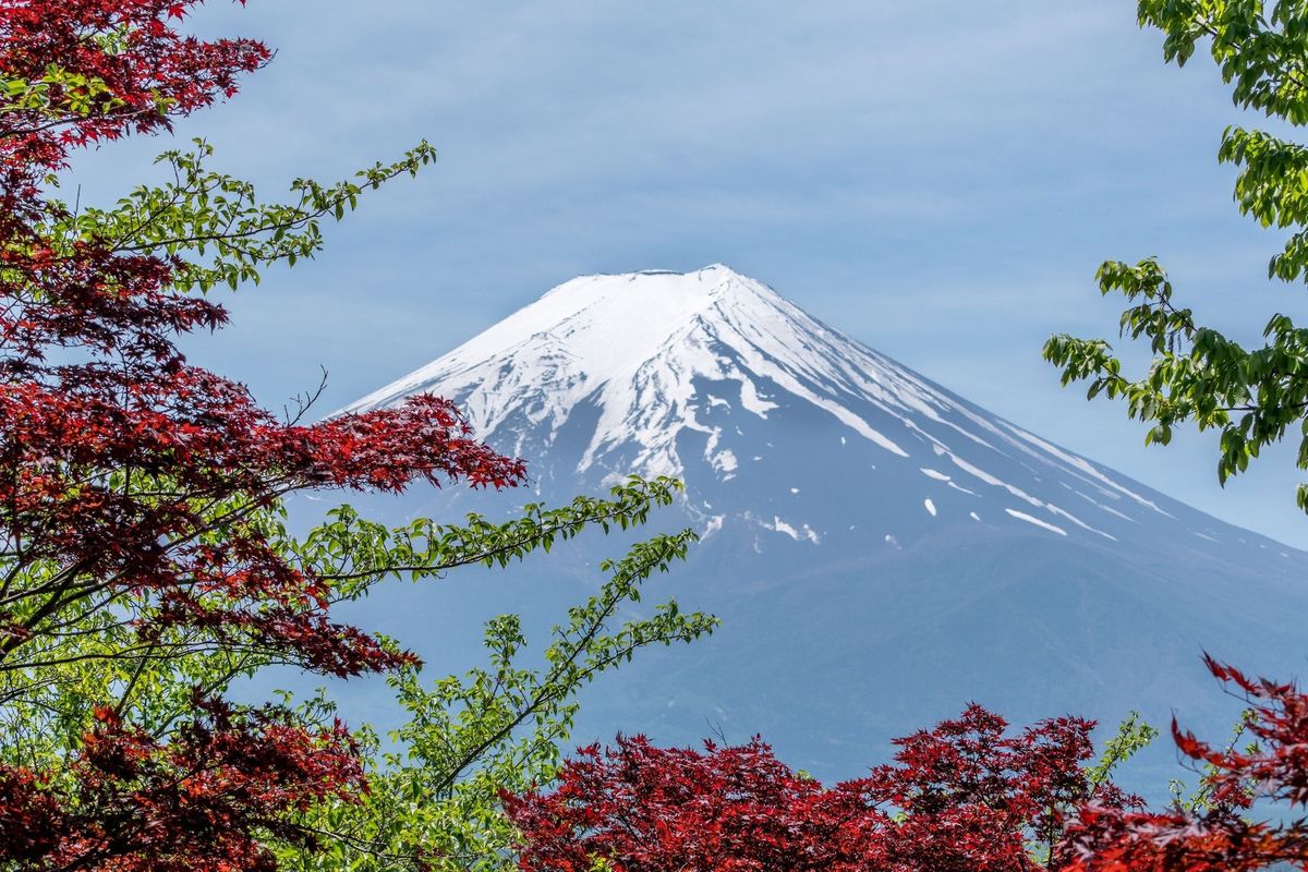 Learning Japanese in 6 Months: Month Three Update!