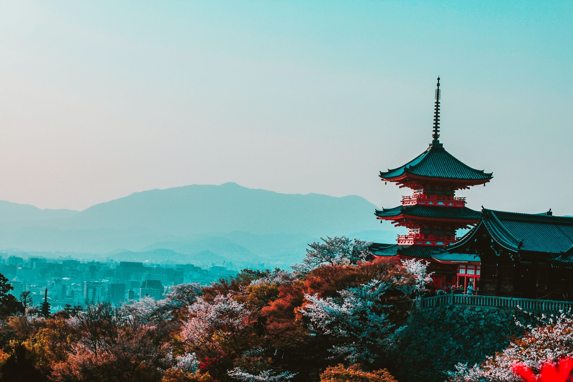 Learning Japanese in 6 Months