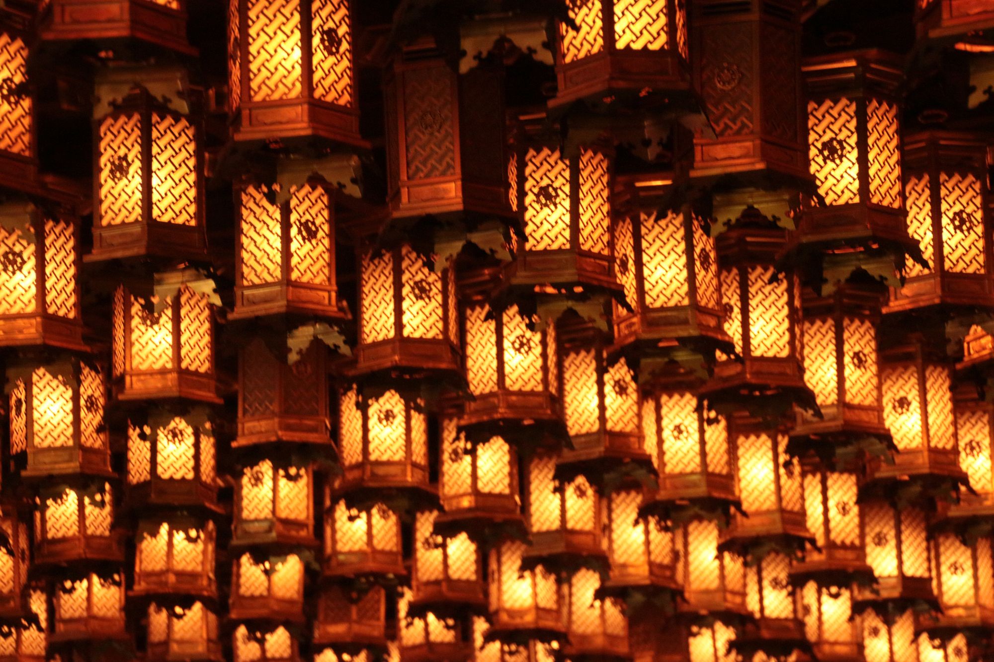 Learning Japanese in 6 Months: Week Six Update