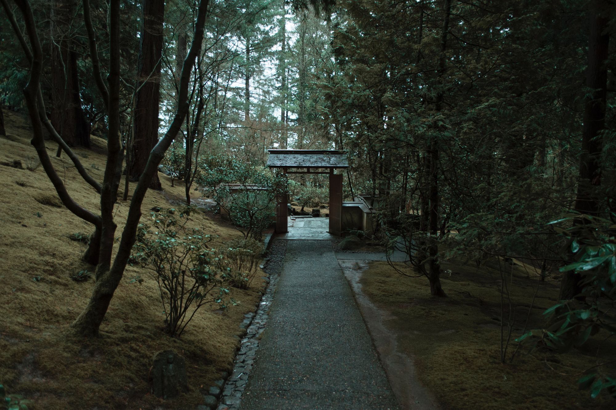 Learning Japanese in 6 Months: Month Two Update