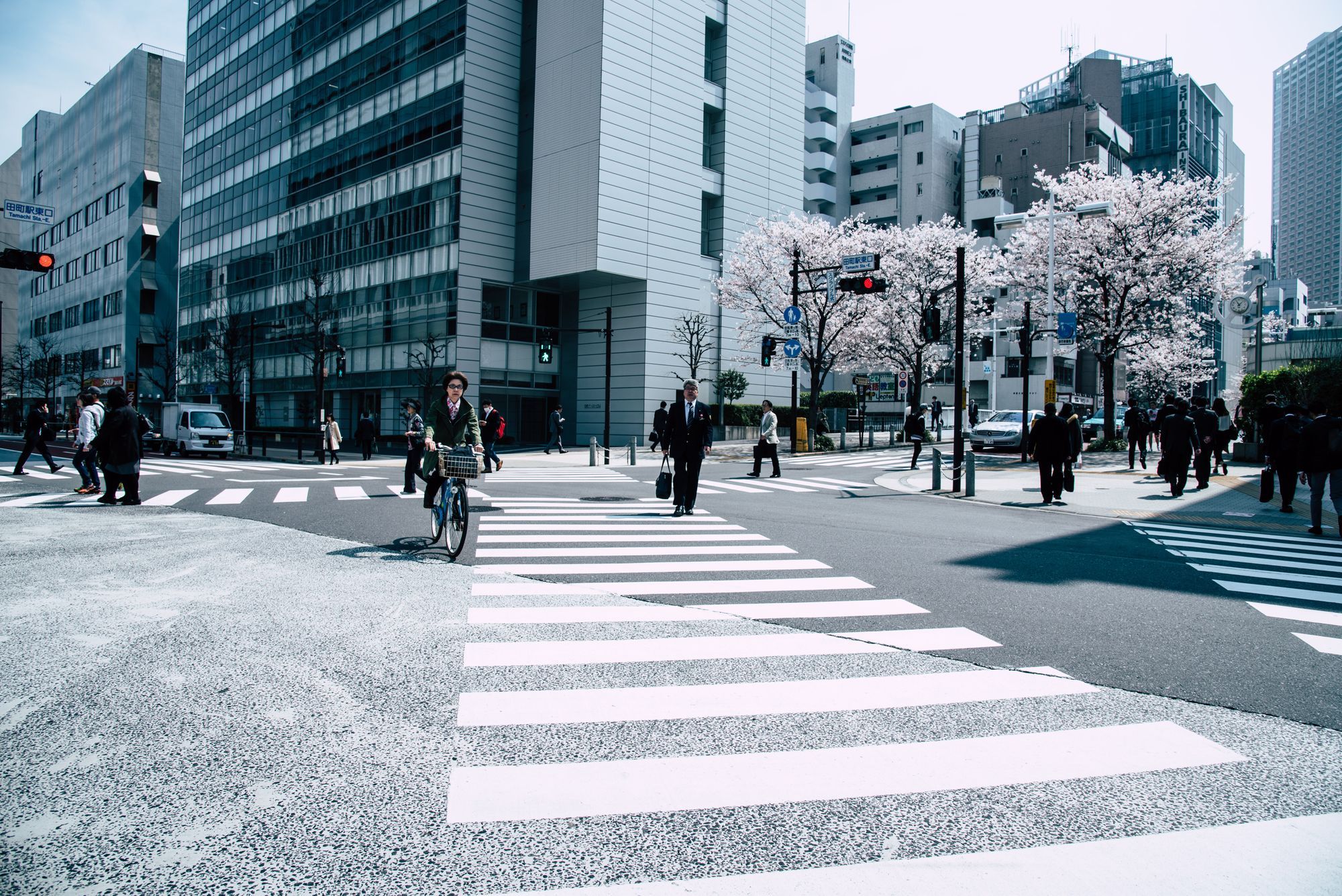Learning Japanese in 6 Months: Week Eleven Update