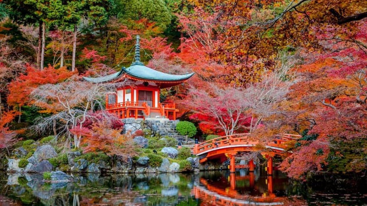 Learning Japanese in 6 Months: Week Fifteen Update