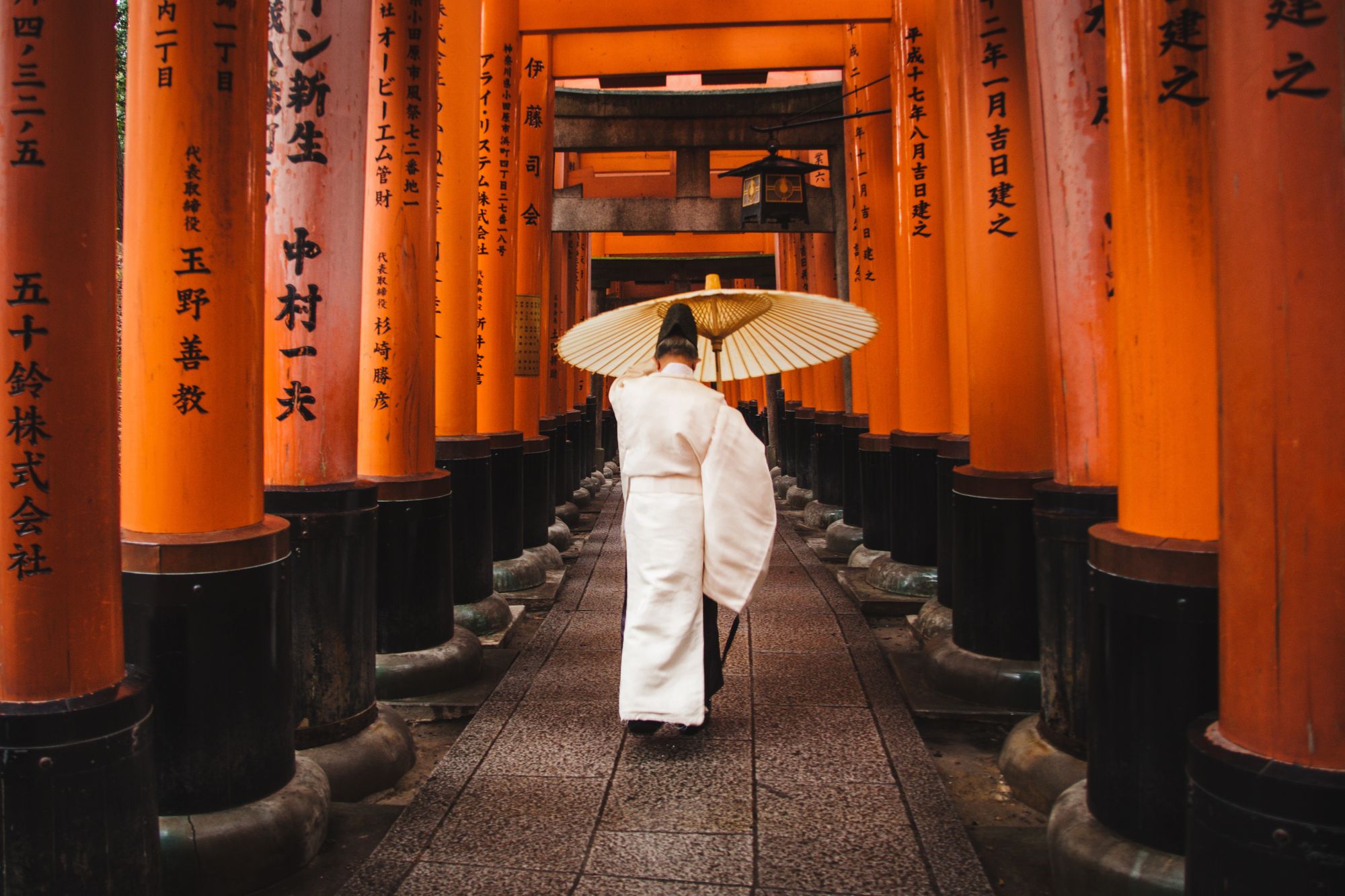 Learning Japanese in 6 Months: Week Fourteen Update