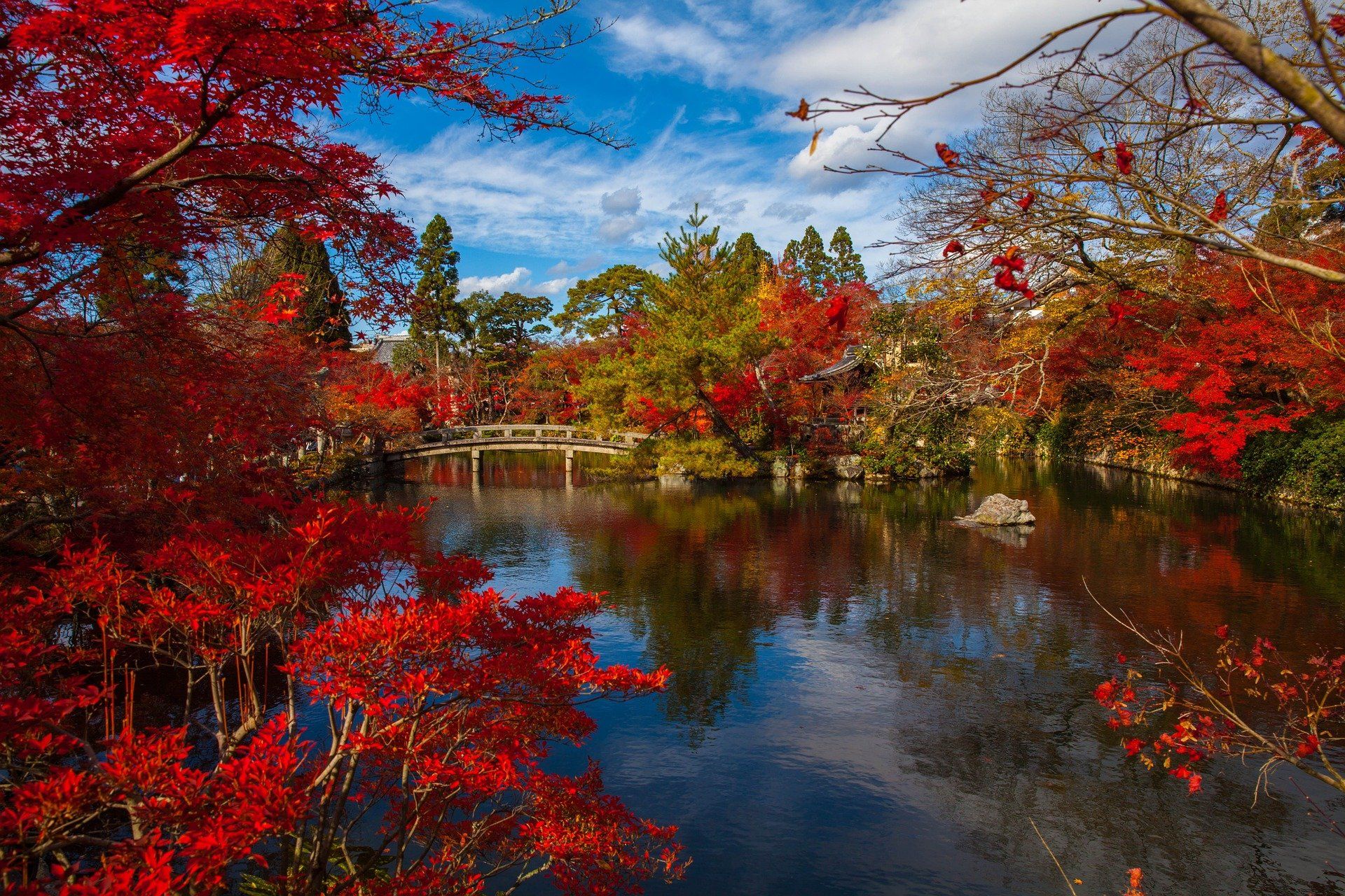 Learning Japanese in 6 Months: Week Eighteen Update