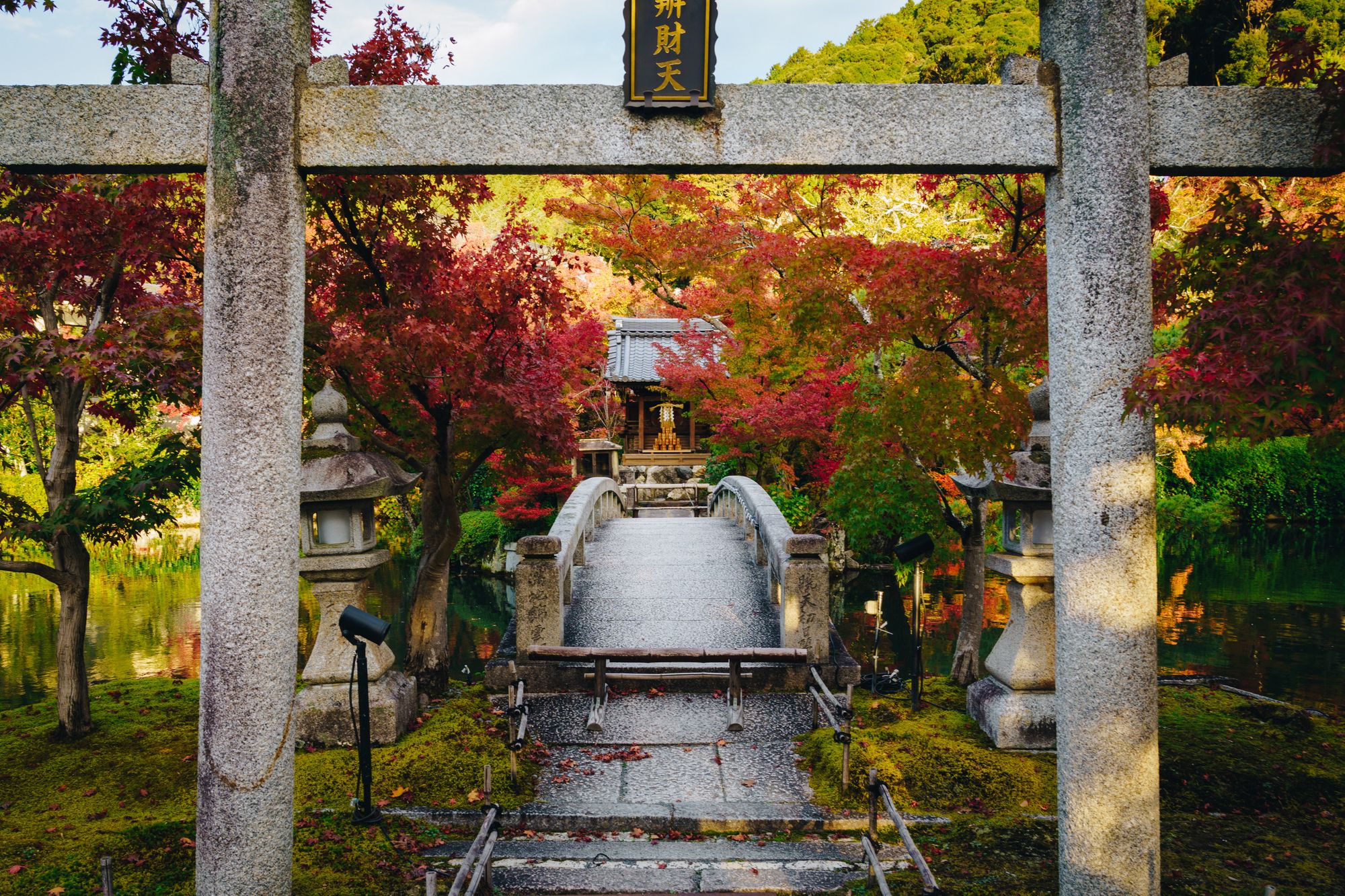 Learning Japanese in 6 Months: Week Nineteen Update