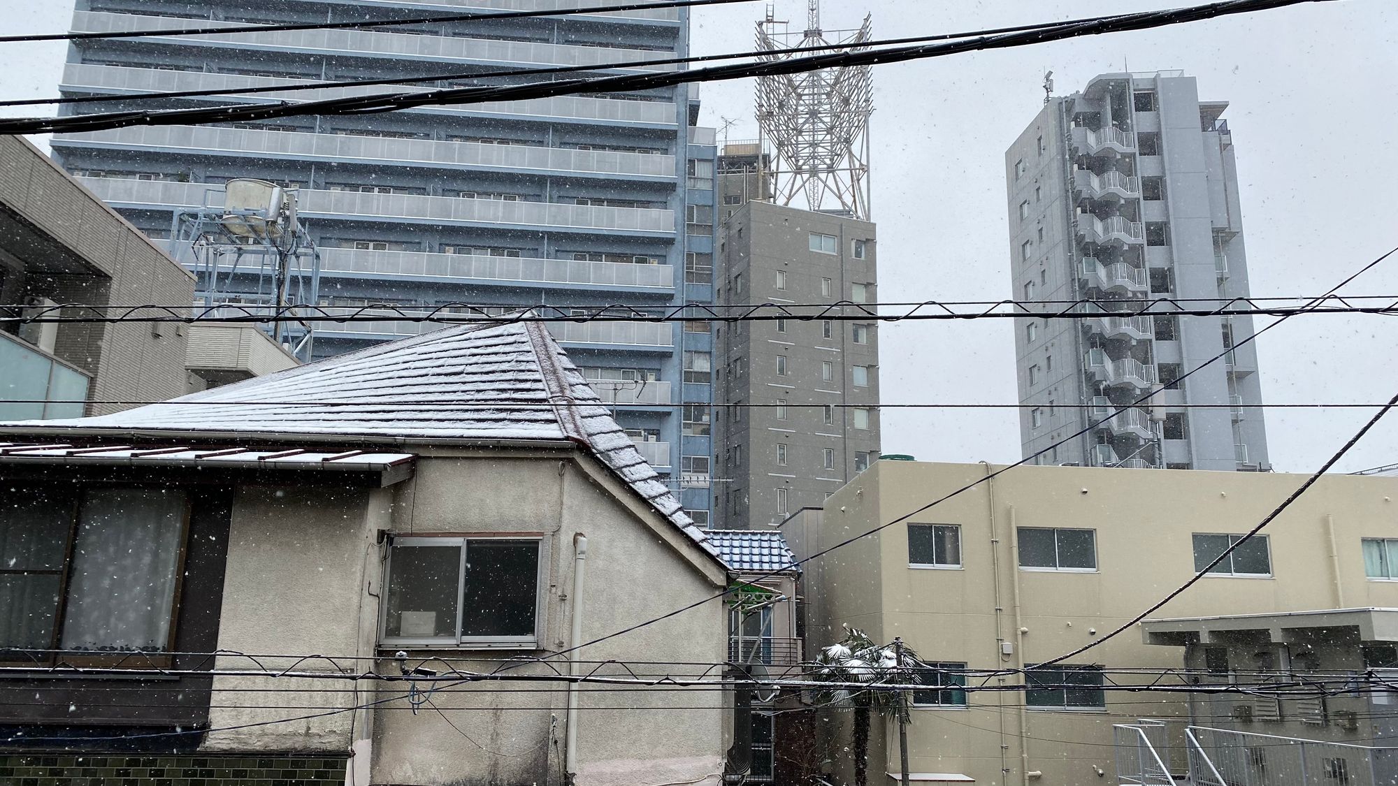 Brad In Japan: Snow Sweet Satō